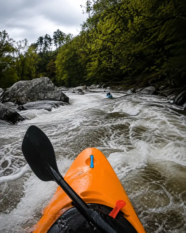 Whitewater kayaking through a forest river with Water Sports Equipment in use.